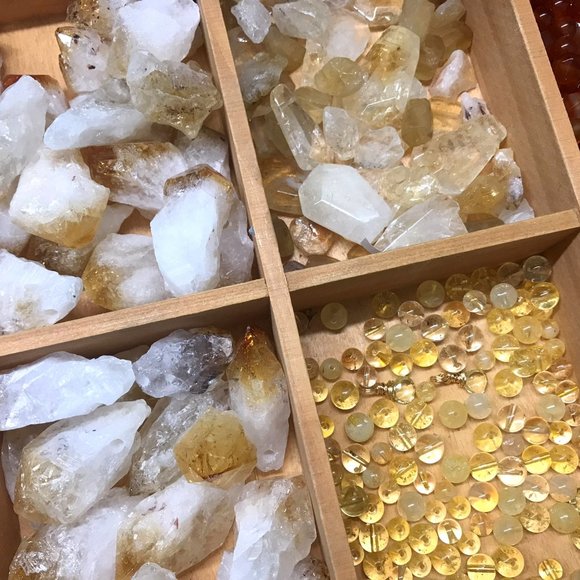 Meet your Posher, Kerry anne - Picture 10 of 11